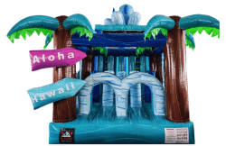 Untitled20108020x2070020px20108020x2055020px2010802 7 Tidal Wave Dual Lane Obstacle w 18' Slide Wet/Dry
