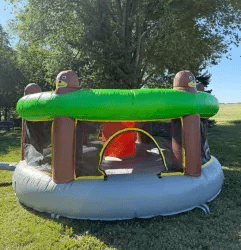 temp img 0 jpeg 839243520 1754085356 Whack-A-Mole